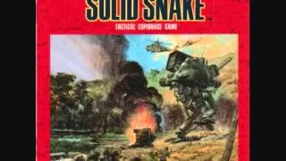 Metal Gear 2: Solid Snake - Wavelet