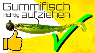 Gummifisch verführerisch präsentieren 👀