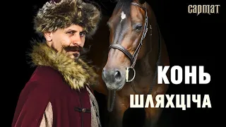 Ой, чый там конь бяжыць... КОНЬ у жыцці шляхціча 🗡️ Сармат