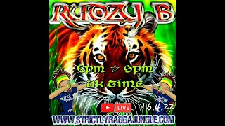 RAGGA JUNGLE DRUM AND BASS MIX 2022 - reggae dnb * LIVE * RAGGA JUNGLE DJ