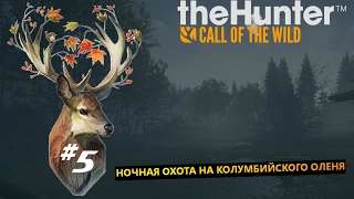 theHunter Call of the Wild  #5 Ночная охота на Колумбийского оленя