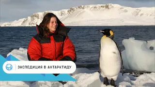 Экспедиция в Антарктиду