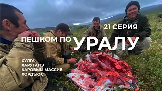 Серия 21 // Уральская экспедиция Чегодаева (Хулга - Харутапэ -Каровый массив - Хордъюс)