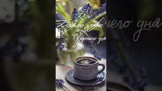 С добрым утром ☀️ Счастливого дня и отличного настроения 🌼🌼🌙