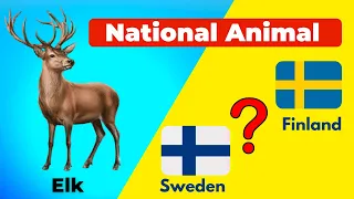 Guess the Country by National Animal | Country Quiz Challenge
