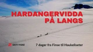 Hardangervidda på langs - På ski fra Finse til Haukeliseter - Påsken 2022