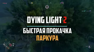 БЫСТРАЯ ПРОКАЧКА ПАРКУРА в Dying Light 2: Stay Human Гайд #2