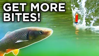 Float Fishing On Rivers - FULL GUIDE!