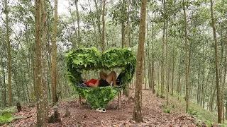 Full Video: 120 Days Solo Camping - Free bushcraft - Survival in the rainforest.