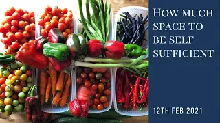 Do you want to be self-sufficient in veg and seasonal fruit? This is roughly how much space you need