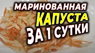 Маринованная капуста за сутки. Быстрый рецепт маринованной капусты.