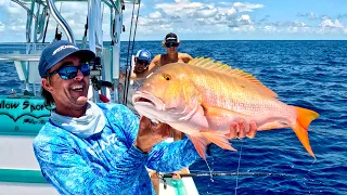 They LAUGHED at me! Small Rod HUGE Snapper! Catch and Cook on the REEF