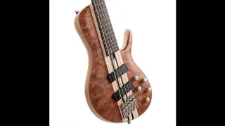 Cort Introduces Artisan A5 Beyond with Bold Vision for Modern Bass Concept