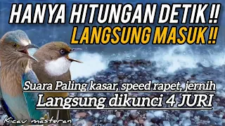 HANYA HITUNGAN DETIK MASUK‼️MASTERAN BURUNG FIGTHER SUARA JERNIH Part 161