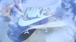 Nike SB Wair Max Ishod -Wear Test