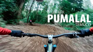 PUMALAL TEMUCO (MTB)