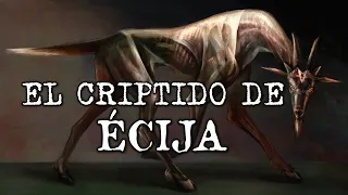 EL CRIPTIDO DE ÉCIJA | Criptozoologia |Misterio