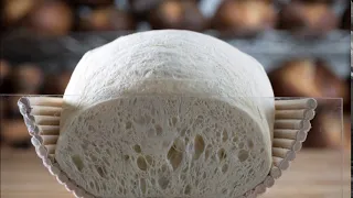 An Inside Look at Bread Dough Proofing