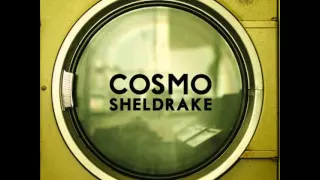 Cosmo Sheldrake - The Moss (Demo Version)