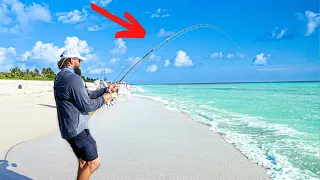 I Tossed GIANT Live Bait In A MASSIVE School Of Fish! **Mullet Run**