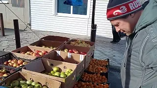 В Буденновск на рынок за фруктами: репортаж от 30.01.2022)