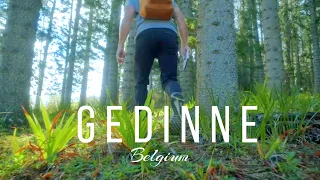 Gedinne: Discover Belgium's Hidden Forest Gem