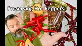 🔵 How to Dehydrate Peppers, Preserving Hot Garden Peppers 🌶🌶 for storage or powder