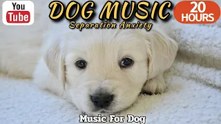 20 HOURS of Dog Calming Sleep Music🐶💖Dog Relaxation 🦮🎵 Anti Separation Anxiety Relief ⭐Healingmate