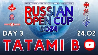 «Russian Open Cup - 2024». ТАТАМИ B  (3 день)