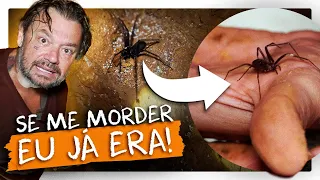 PEGUEI A ARANHA MAIS LETAL DO MUNDO NA MÃO! | RICHARD RASMUSSEN