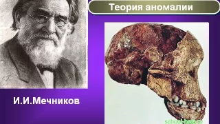 Презентация Человек индивид личность