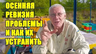 Осенняя ревизия пчел, Проблемы на пасеке в сентябре