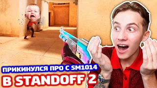 ПРИКИНУЛСЯ ПРО С ДРОБОВИКОМ В STANDOFF 2 - ТРОЛЛИНГ!