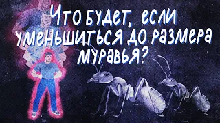 Что будет, если уменьшиться до размера муравья? | Black Science