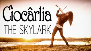 Ciocârlia (The Skylark) 🎻 Violin Cristina Kiseleff