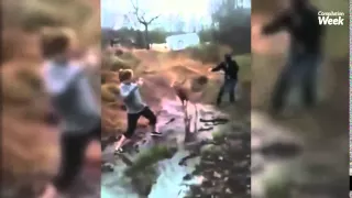 ЛУЧШИЕ ПРИКОЛЫ за ЯНВАРЬ 2015   BEST FAIL WIN COMPILATION EVER