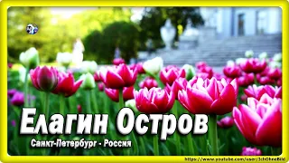 🔴 Елагин Остров - весна • Санкт-Петербург | Россия - Spring - Frühling - Russia #IchOhneBild