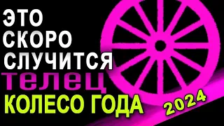 Телец Скоро! Только в ЭТИ ДАТЫ! Грядет Сила Великая! (4+4 дня году) КОЛЕСО ГОДА 2024 Обряды Обереги