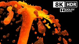 Best of 8K Deep Black HDR | Dolby Vision