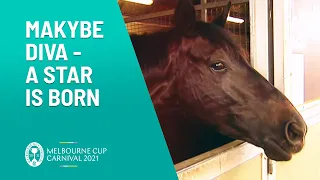 Makybe Diva - A Star Is Born | Melbourne Cup Carnival | Channel 10