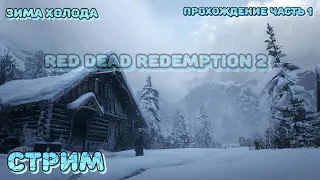 💜 Прохождение ► Red Dead Redemption 2 💜Часть 1💜!Прохождение !DONAT