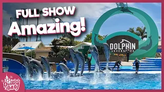 [NEW SHOW] First EVER Dolphin Adventures at SeaWorld San Diego