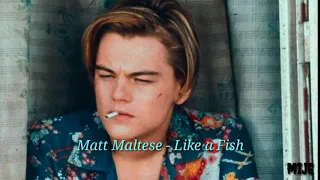 Matt Maltese - Like a Fish // Original Lyrics & Sub. Español