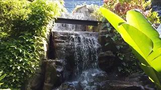 Kuala Lumpur Airport Jungle Boardwalk