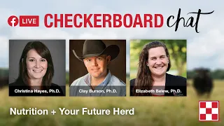 Checkerboard Chat: Nutrition + Your Future Herd