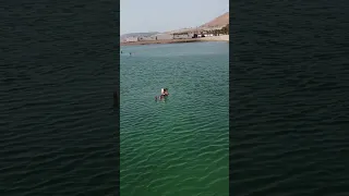 Floating in the Dead Sea