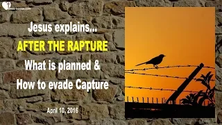 After the Rapture... What is planned & How to evade Capture ❤️ Love Letter from Jesus