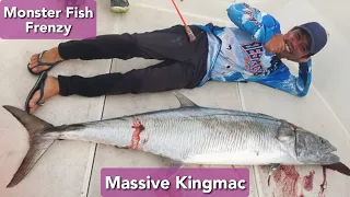 Massive 71-Pound Monster Kingmac vs Stella SW 4000XG | Monster Fish Frenzy #lightjigging #bigfish