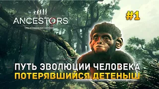 Путь эволюции человека. Потерявшийся детеныш - Ancestors: The Humankind Odyssey #1 (Первый Взгляд)