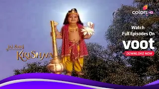 Jai Shri Krishna | जय श्री कृष्णा | Krishna Blesses The Rishis | कृष्णा ने दिया ऋषियों को आशीर्वाद